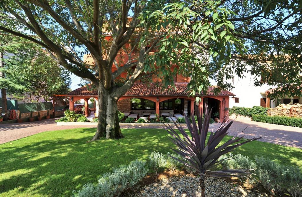 Villa Maimare บีโอกราดนาโมรู ภายนอก รูปภาพ