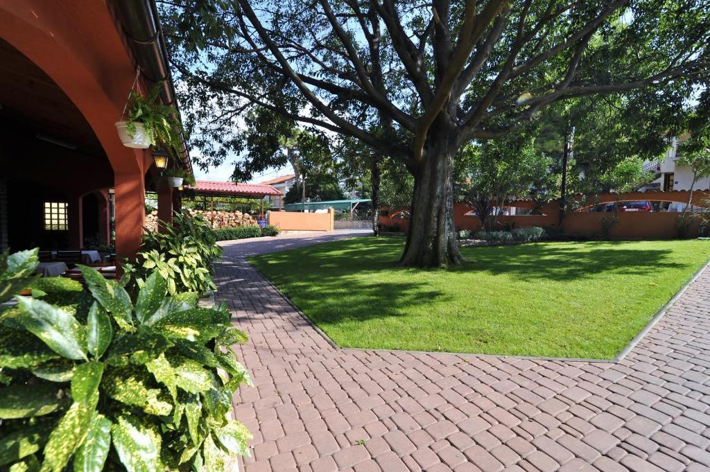 Villa Maimare บีโอกราดนาโมรู ภายนอก รูปภาพ